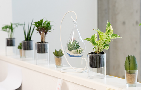 アライヴ歯科医院の院内写真